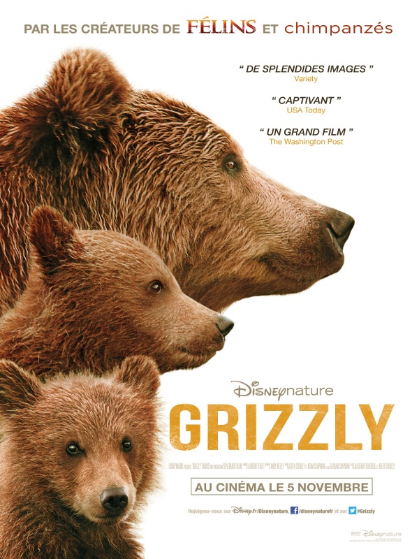 Grizzly.jpg